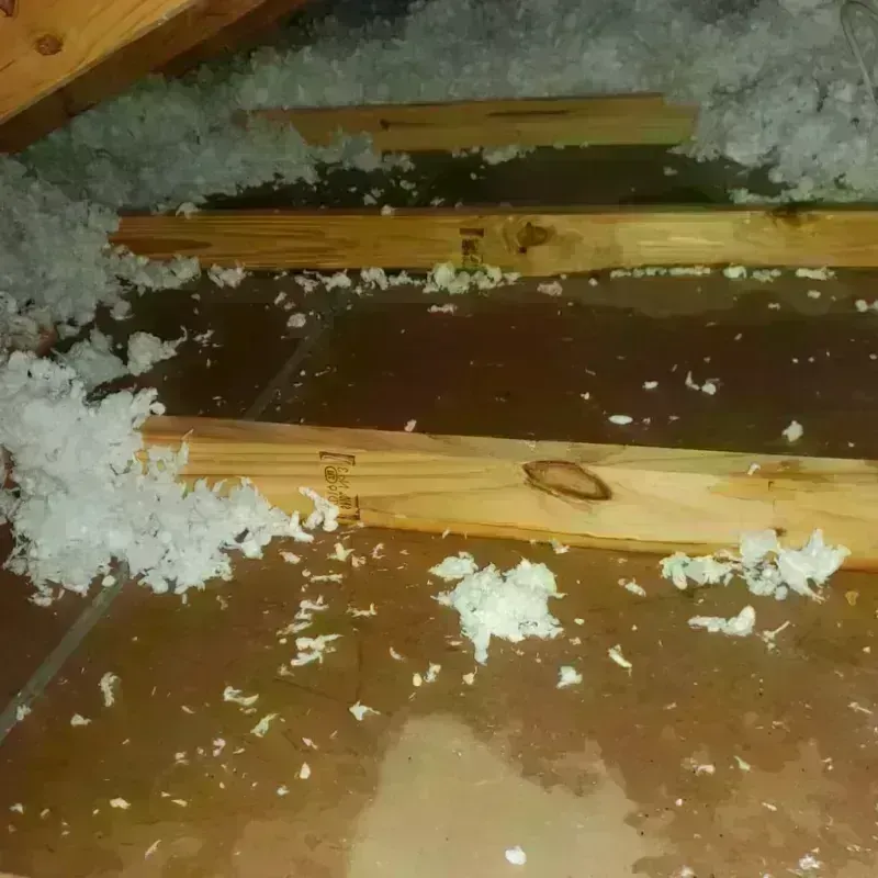 Attic Water Damage in Mariposa County, CA