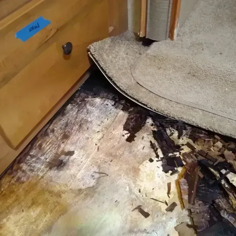 Wood Floor Water Damage in Mariposa County, CA